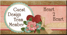 Guest Designer